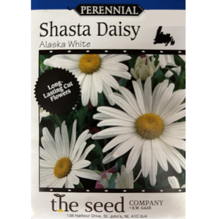 The Seed Company Daisy Shasta Alaska White Pkg.