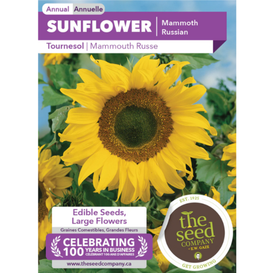 The Seed Company Sunflower Mammoth Russian Pkg.