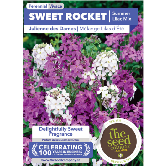 The Seed Company Sweet Rocket Summer Lilac Mix Pkg.