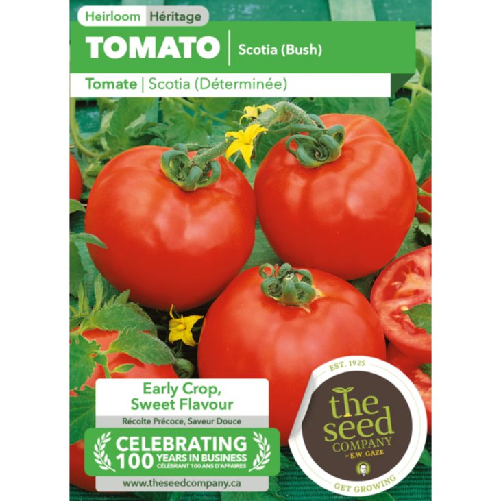 The Seed Company Tomato Scotia Pkg.