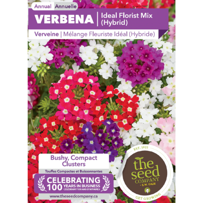 The Seed Company Verbena Ideal Florist Mix Pkg.