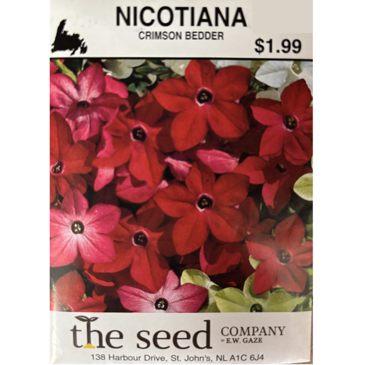 The Seed Company Nicotiana Crimson Bedder Pkg.