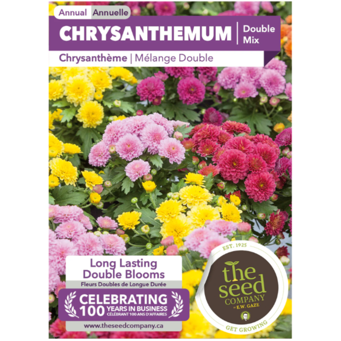 The Seed Company Chrysanthemum Double Mix Pkg.