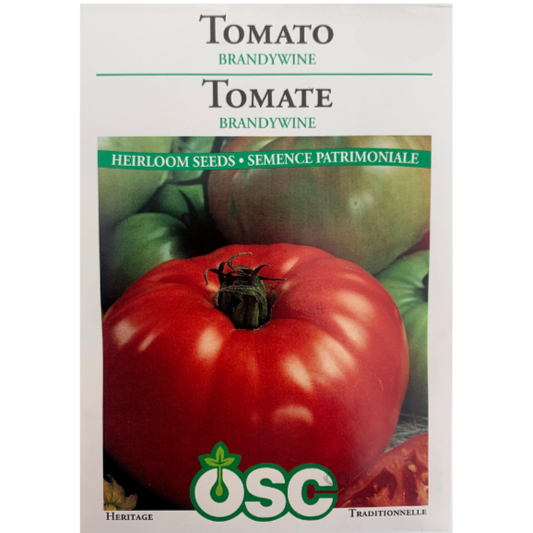 OSC Seeds Tomato Brandywine Pkg.