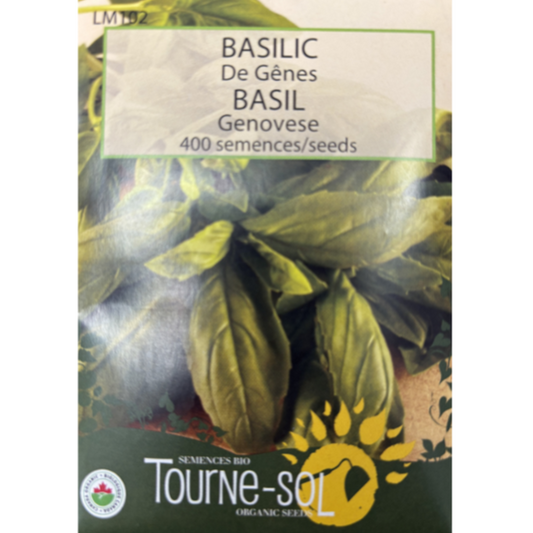 Tourne-Sol Basil Genovese Pkg.