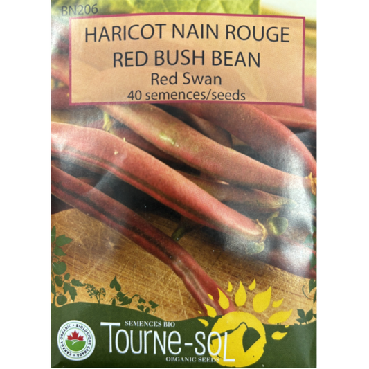 Tourne-Sol Bean Red Swan Bush Pkg.