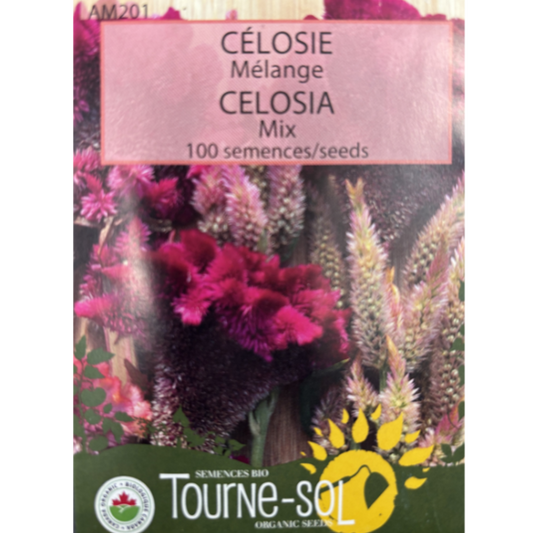 Tourne-Sol Celosia Mix Pkg.