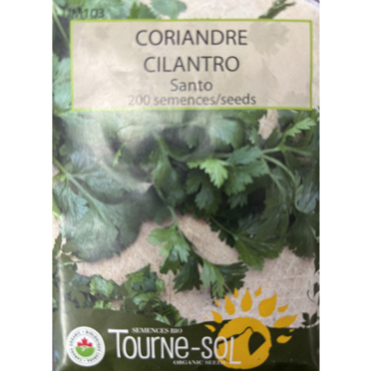 Tourne-Sol Cilantro Santo Pkg.