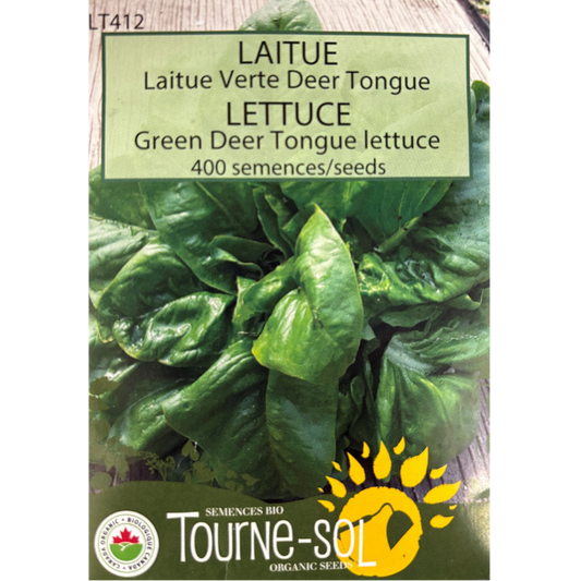 Tourne-Sol Lettuce Green Deer Tongue Pkg.