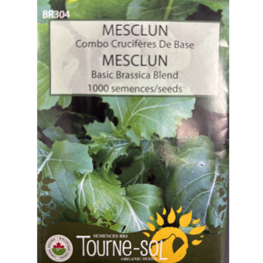 Tourne-Sol Mesclun Basic Brassica Blend Pkg.