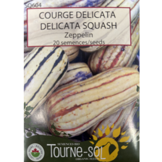 Tourne-Sol Squash Zeppelin Delicata Pkg.