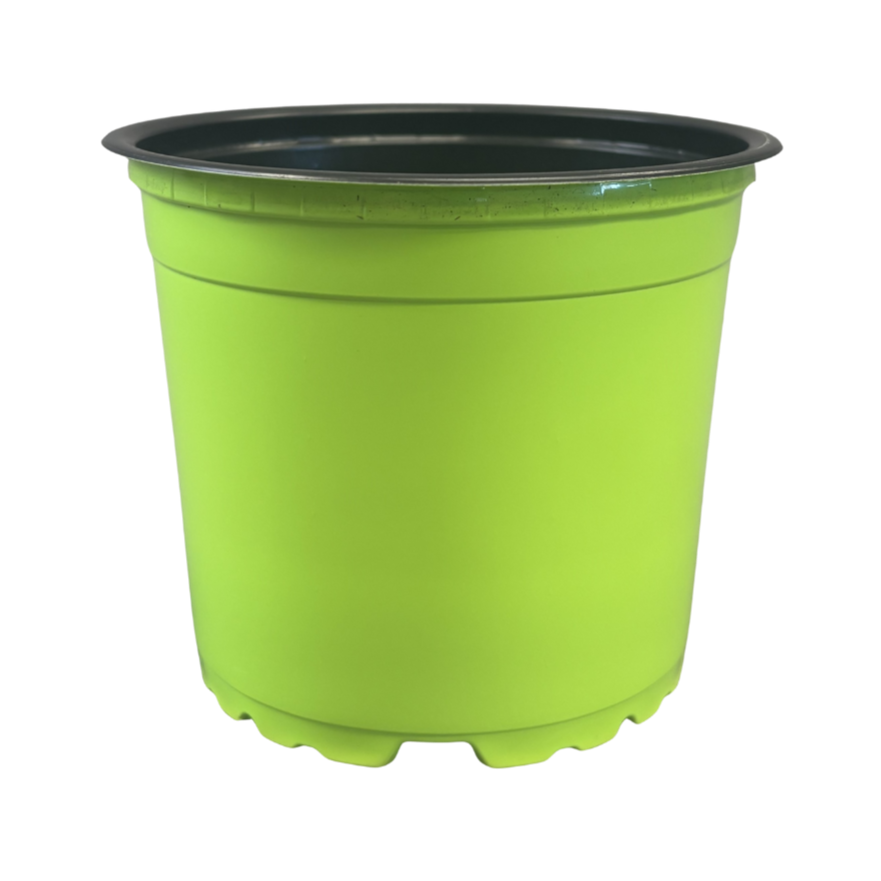 Nursery Pot Standard Assorted Colours 4.33"