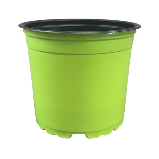 Nursery Pot Standard Assorted Colours 4.33"