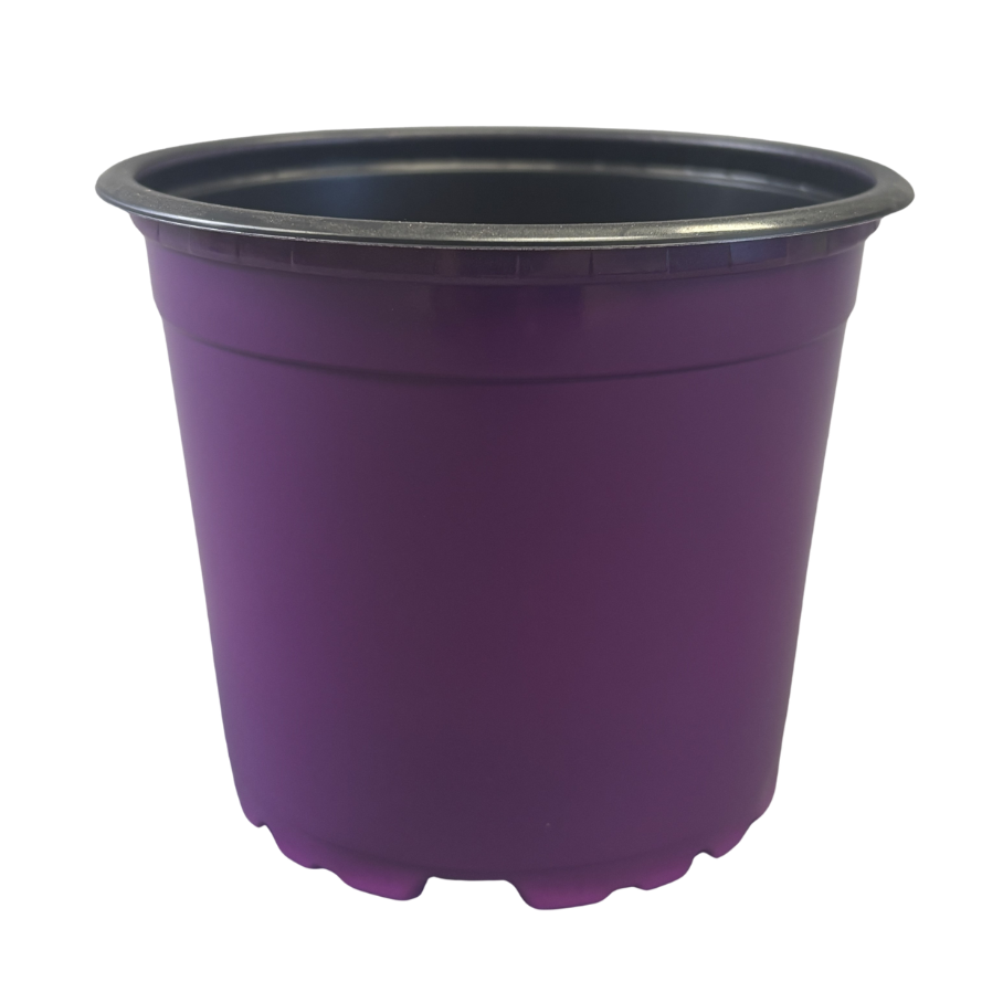 Nursery Pot Standard Assorted Colours 4.33"