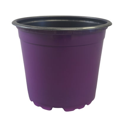 Nursery Pot Standard Assorted Colours 4.33"