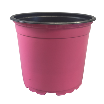 Nursery Pot Standard Assorted Colours 4.33"