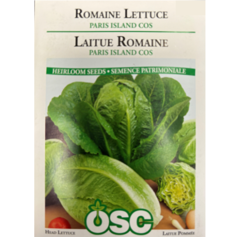 OSC Seeds Lettuce Romaine Paris Island Cos Pkg.