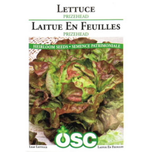 OSC Seeds Lettuce Prizehead Pkg.