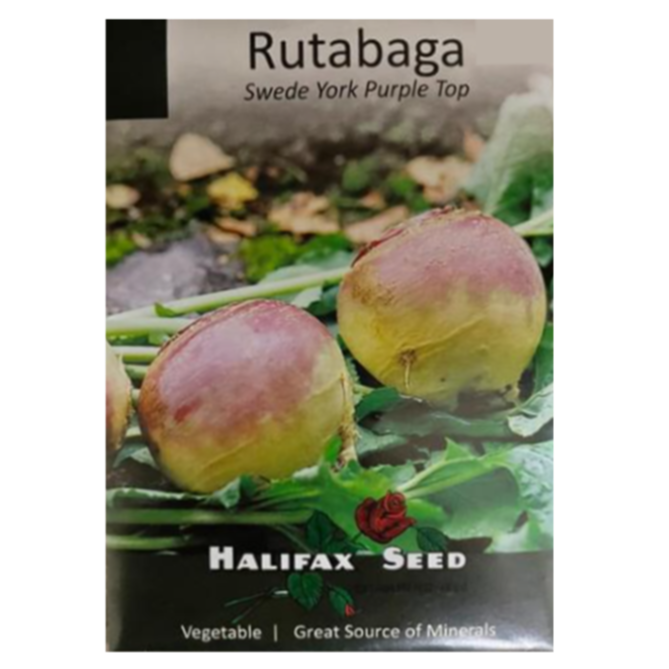 Halifax Seed Rutabaga Swede York Purple Top Pkg.