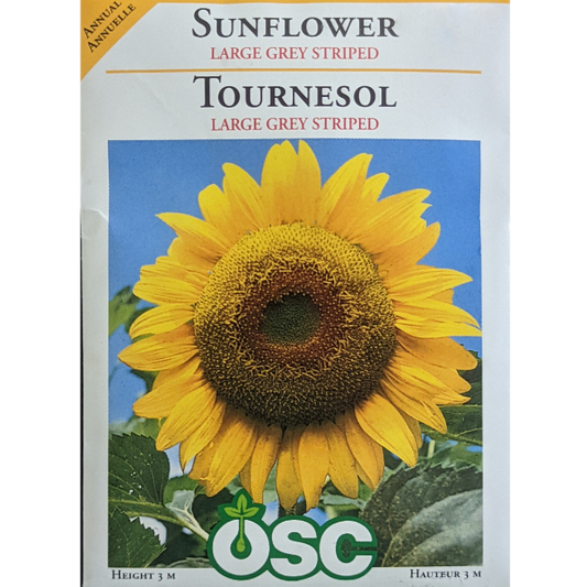 OSC Seeds Sunflower Large Grey Striped Pkg.