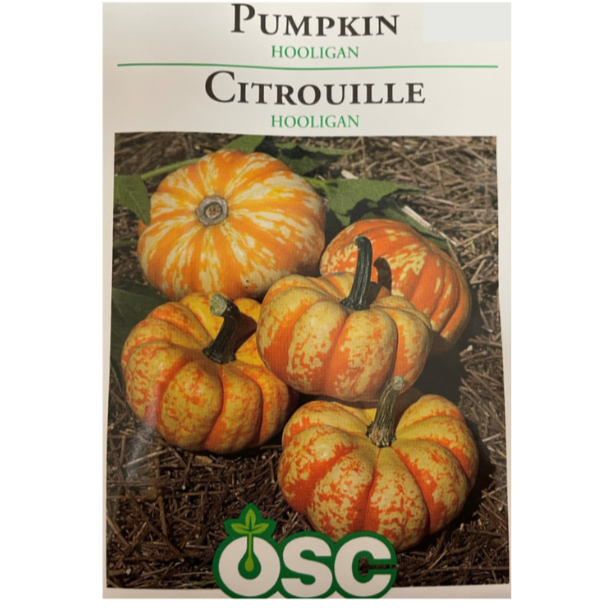 OSC Seeds Pumpkin Hooligan Pkg.