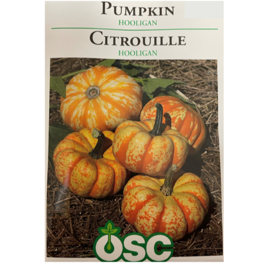 OSC Seeds Pumpkin Hooligan Pkg.