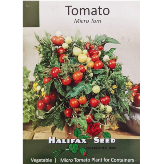 Halifax Seed Tomato Micro Tom Pkg.