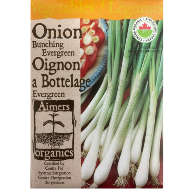 Aimers Organic Onion Bunching Evergreen
