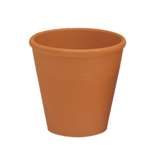 Clay Rose Pot