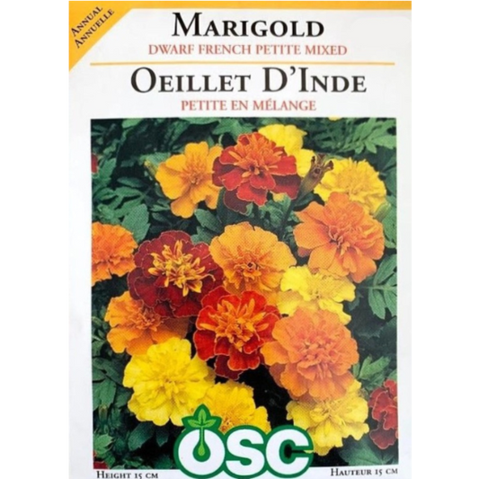 OSC Seeds Marigold Dwarf French Petite Mixed Pkg.