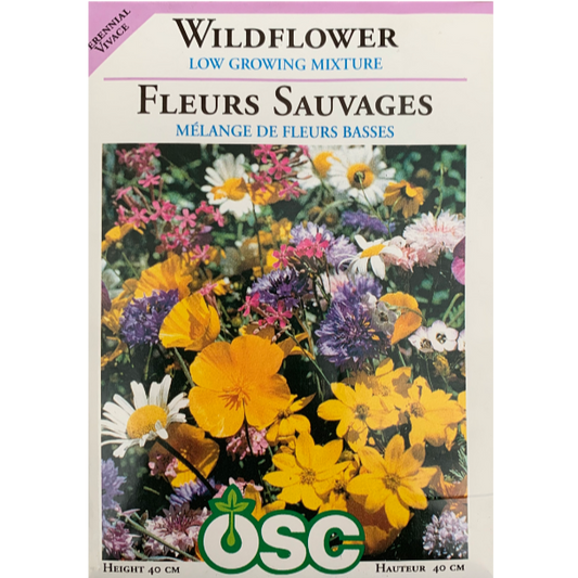 OSC Seeds Mix Wildflowers Low Growing Pkg.