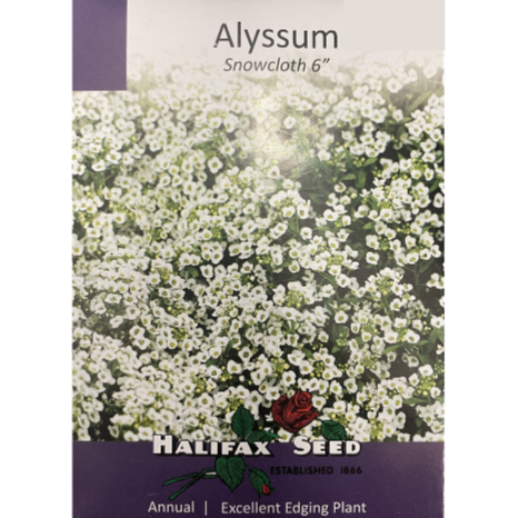 Halifax Seed Alyssum Snowcloth 6" Pkg.