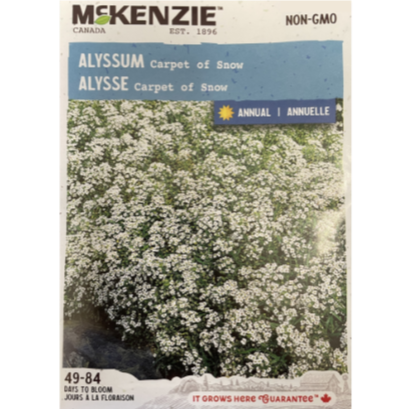 McKenzie Seed Alyssum Carpet of Snow Pkg