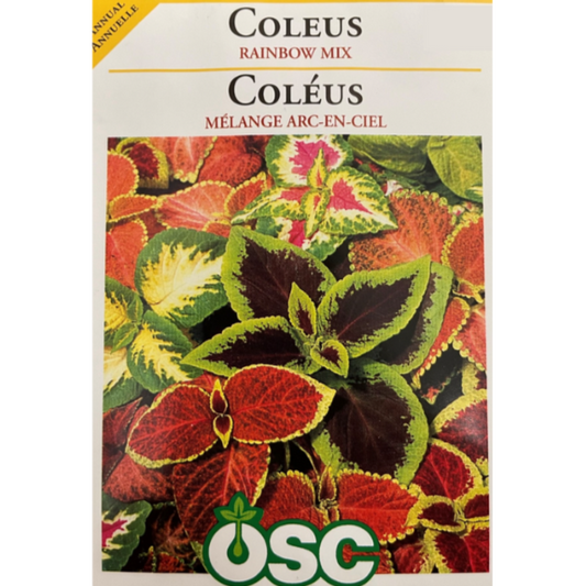 OSC Seeds Coleus Rainbow Mix Pkg.