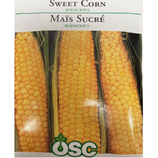 OSC Seeds Corn Sweet Bodacious