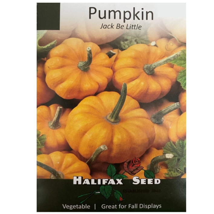 Halifax Seed Pumpkin Jack Be Little Pkg.