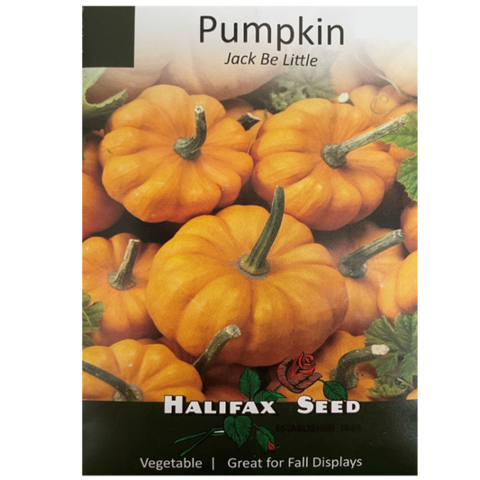 Halifax Seed Pumpkin Jack Be Little Pkg.