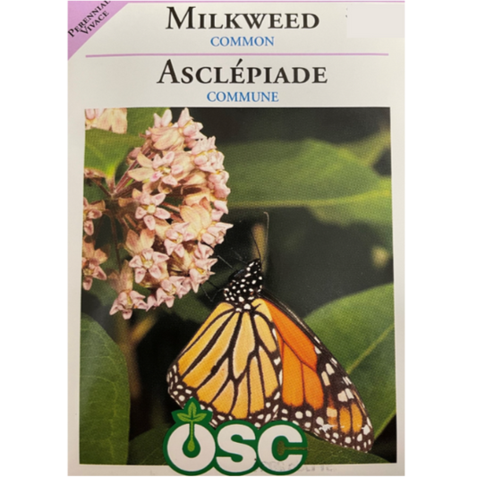 OSC Seeds Milkweed Common Pkg.