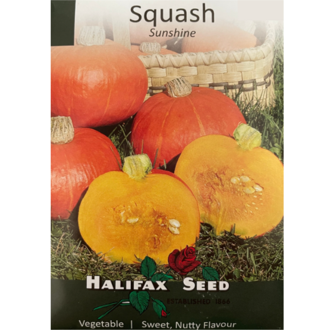 Halifax Seed Squash Sunshine Pkg.