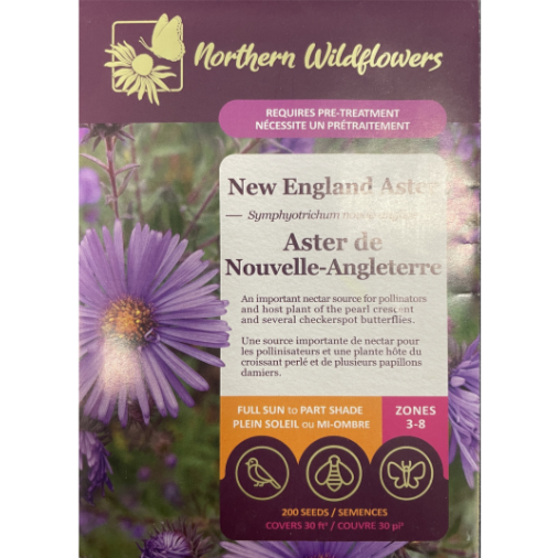 Northern Wildflowers Aster New England Pkg.