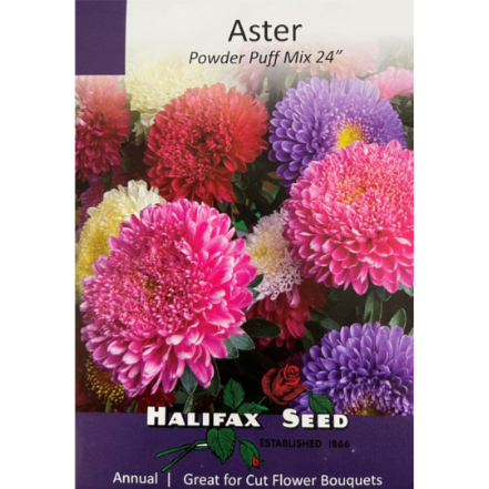 Halifax Seed Aster Powder Puff Mix 24" Pkg.