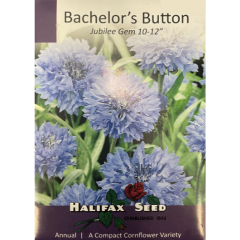 Halifax Seed Bachelor's Button Jubilee Gem 10-12" Pkg.