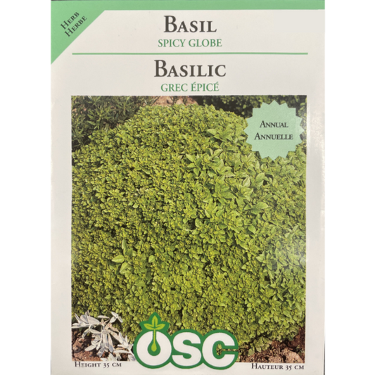 OSC Seeds Basil Spicy Globe Pkg.