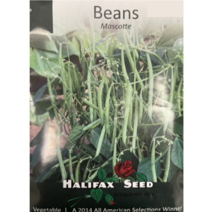 Halifax Seed Bean Mascotte Pkg.