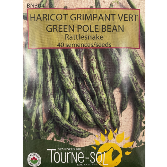 Tourne-Sol Bean Green Pole Pkg.