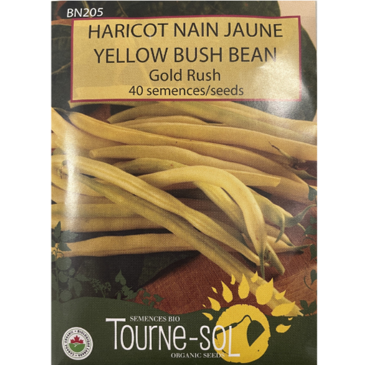 Tourne-Sol Bean Bush Yellow Gold Rush Pkg.