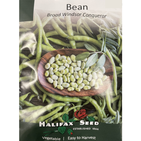 Halifax Seed Bean Broad Windsor Conqueror Pkg.