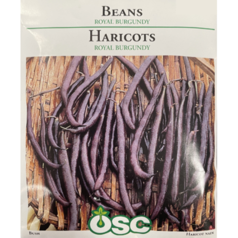 OSC Seeds Beans Royal Burgundy