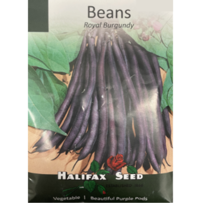 Halifax Seed Bean Royal Burgundy Pkg.