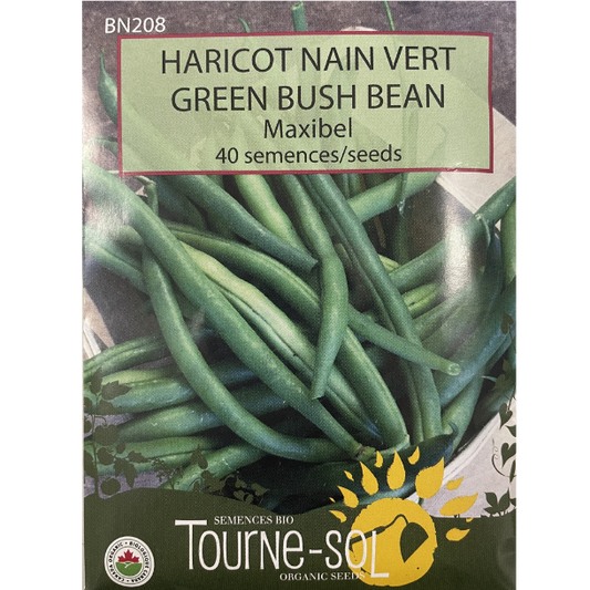 Tourne-Sol Bean Bush Maxibel Green Pkg.